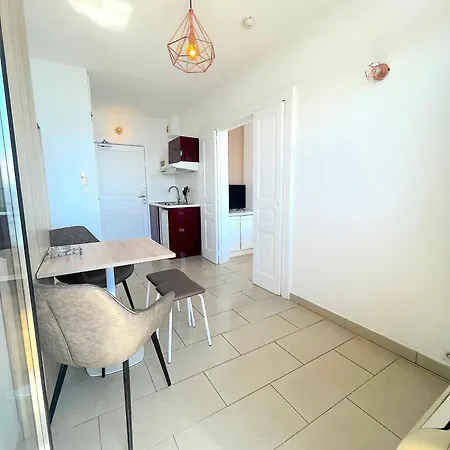 Apartament T2 Avec Piscine Chauffee - Vue Mer Exceptionnelle- Les Calanques Routes Des Sanguinaires- Parking Inclus & Wifi