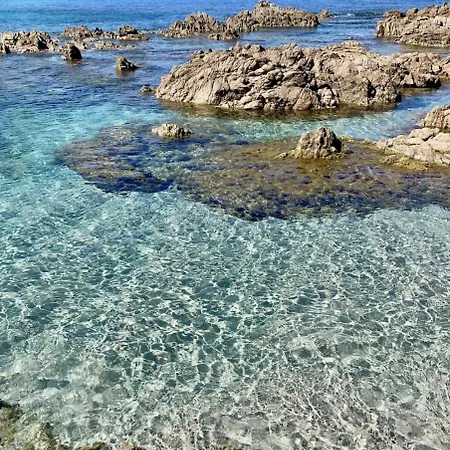 T2 Avec Piscine Chauffée - Vue Exceptionnelle- Les Calanques Routes Des Sanguinaires- Parking Inclus&wifi *