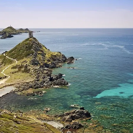 公寓 L'azur Des Calanques - T2 Avec Piscine Chauffee & Vue Exceptionnelle- Parking & Wifi 阿雅克肖