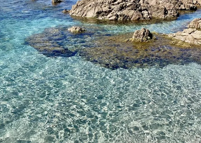 L'azur Des Calanques - T2 Avec Piscine Chauffee & Vue Exceptionnelle- Parking & Wifi *