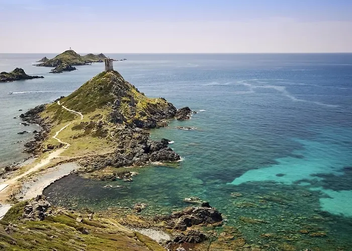 公寓 L'azur Des Calanques - T2 Avec Piscine Chauffee & Vue Exceptionnelle- Parking & Wifi 阿雅克肖